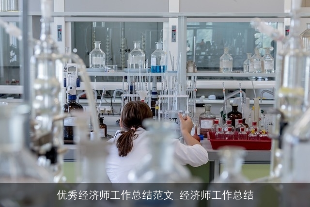 优秀经济师工作总结范文_经济师工作总结