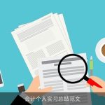 会计个人实习总结范文
