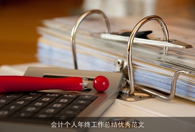 会计个人年终工作总结优秀范文