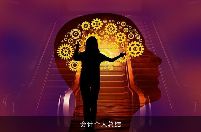 会计个人总结