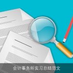会计事务所实习总结范文