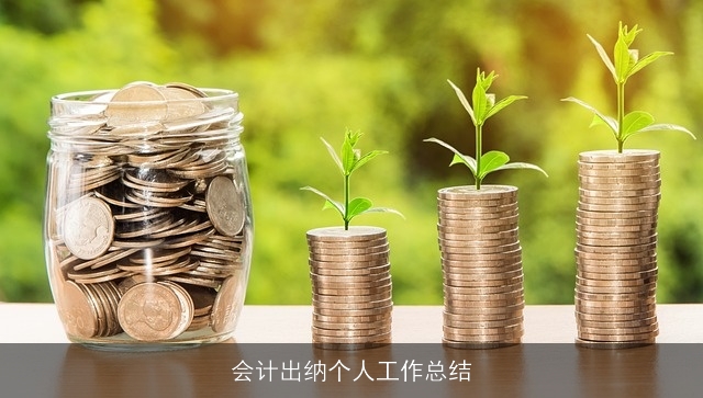 会计出纳个人工作总结