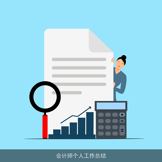 会计师个人工作总结