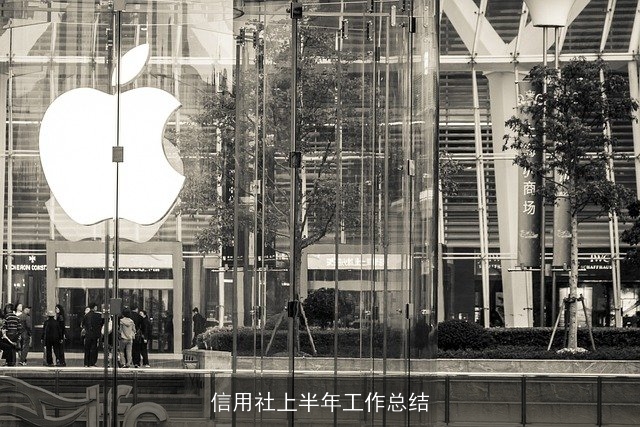 信用社上半年工作总结