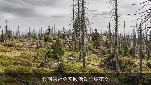 假期的社会实践活动总结范文