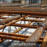 公务员试用期工作总结