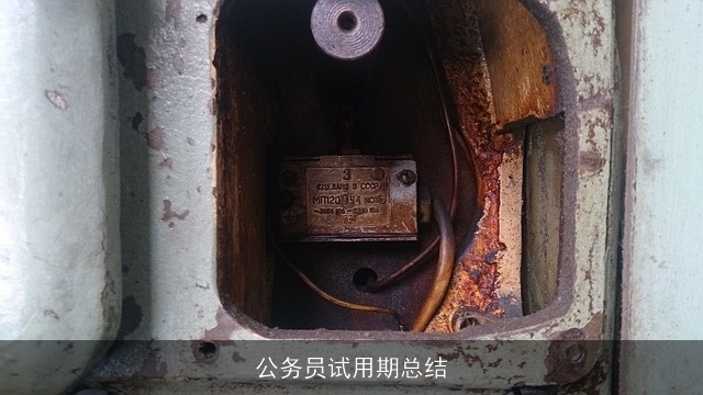 公务员试用期总结