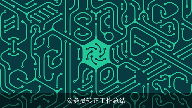 公务员转正工作总结