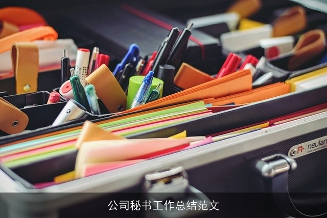 公司秘书工作总结范文