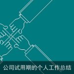 公司试用期的个人工作总结