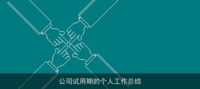 公司试用期的个人工作总结