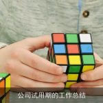 公司试用期的工作总结