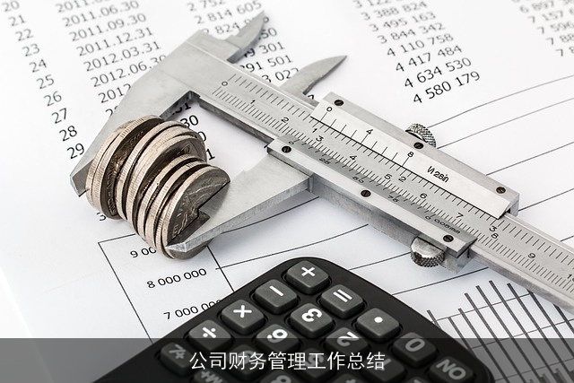 公司财务管理工作总结