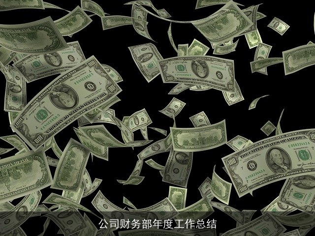 公司财务部年度工作总结