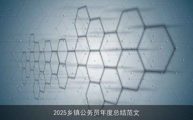 2025乡镇公务员年度总结范文