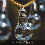 2025半年的工作总结