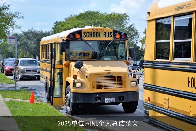 2025单位司机个人总结范文