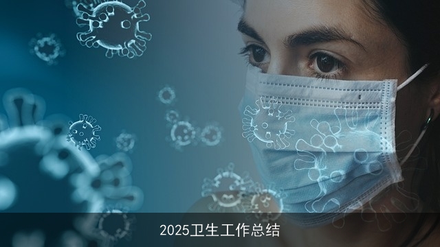 2025卫生工作总结