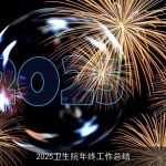 2025卫生院年终工作总结