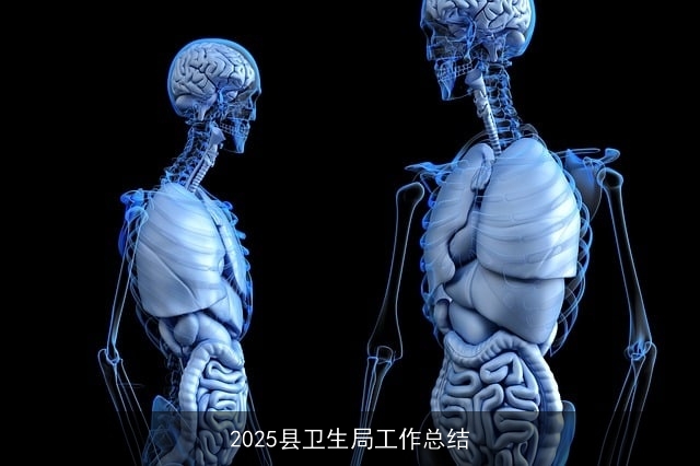 2025县卫生局工作总结