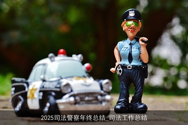 2025司法警察年终总结_司法工作总结