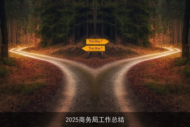 2025商务局工作总结