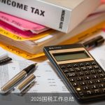 2025国税工作总结