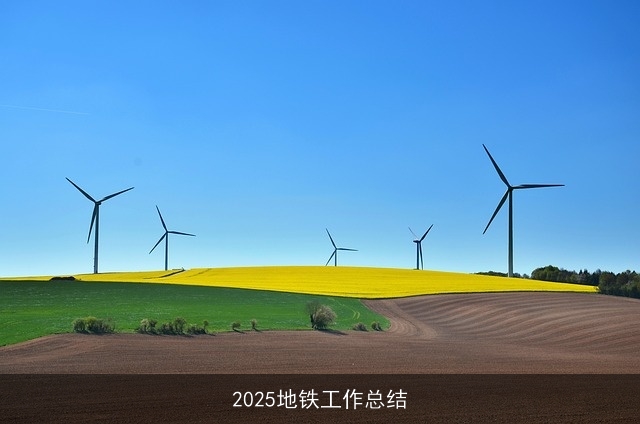 2025地铁工作总结