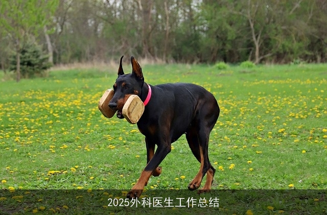 2025外科医生工作总结