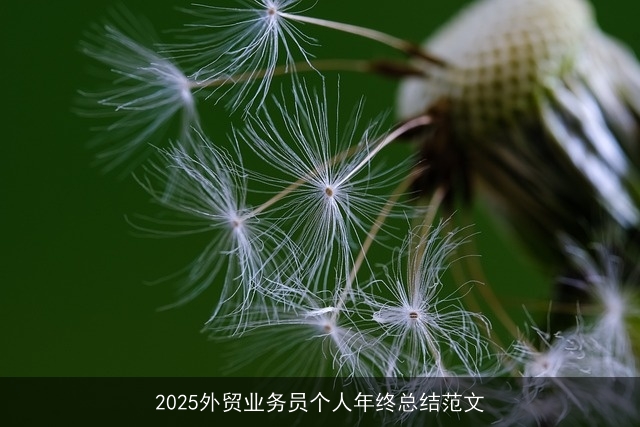 2025外贸业务员个人年终总结范文