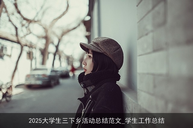 2025大学生三下乡活动总结范文_学生工作总结