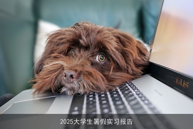 2025大学生暑假实习报告