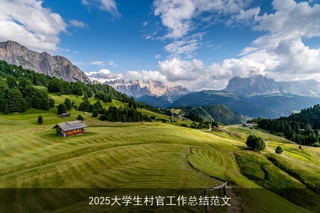 2025大学生村官工作总结范文