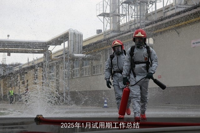 2025年1月试用期工作总结