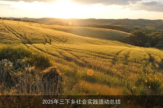 2025年三下乡社会实践活动总结