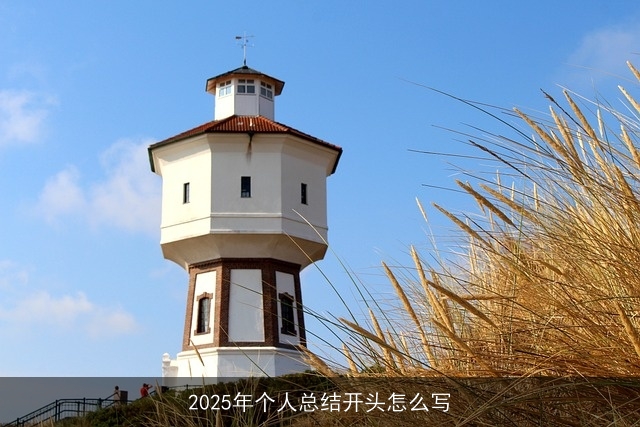 2025年个人总结开头怎么写