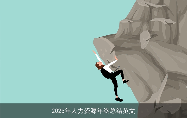 2025年人力资源年终总结范文