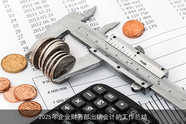 2025年企业财务部出纳会计的工作总结