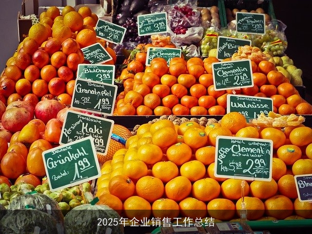 2025年企业销售工作总结
