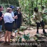 2025年优秀导游工作总结