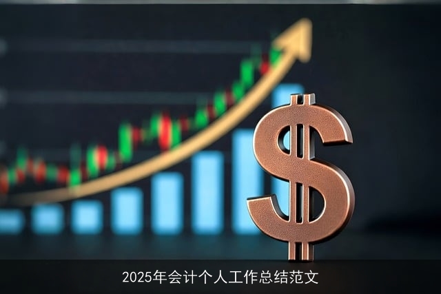 2025年会计个人工作总结范文