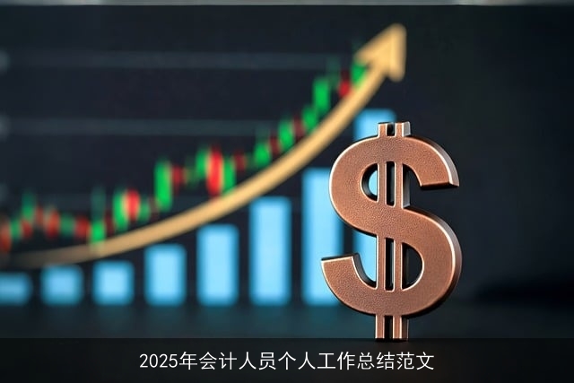 2025年会计人员个人工作总结范文