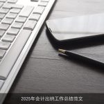 2025年会计出纳工作总结范文