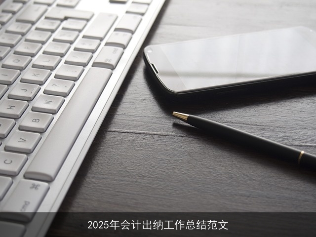 2025年会计出纳工作总结范文