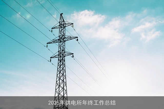 2025年供电所年终工作总结