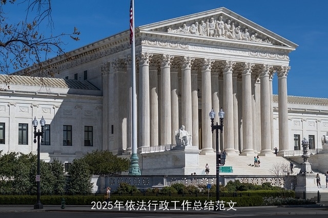 2025年依法行政工作总结范文