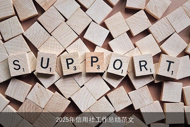 2025年信用社工作总结范文