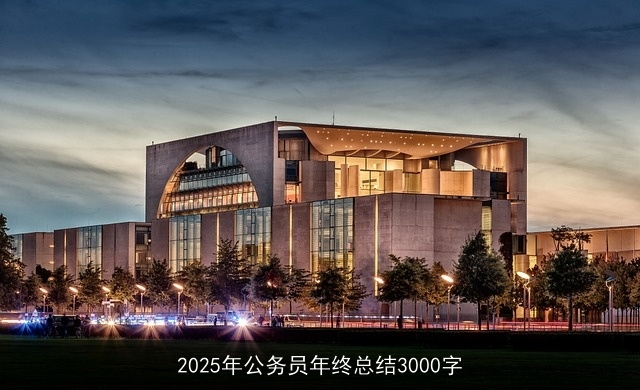 2025年公务员年终总结3000字