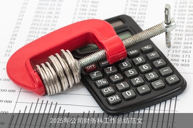 2025年公司财务科工作总结范文