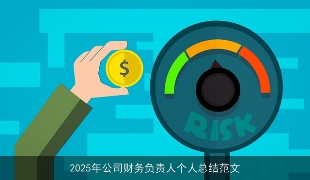 2025年公司财务负责人个人总结范文